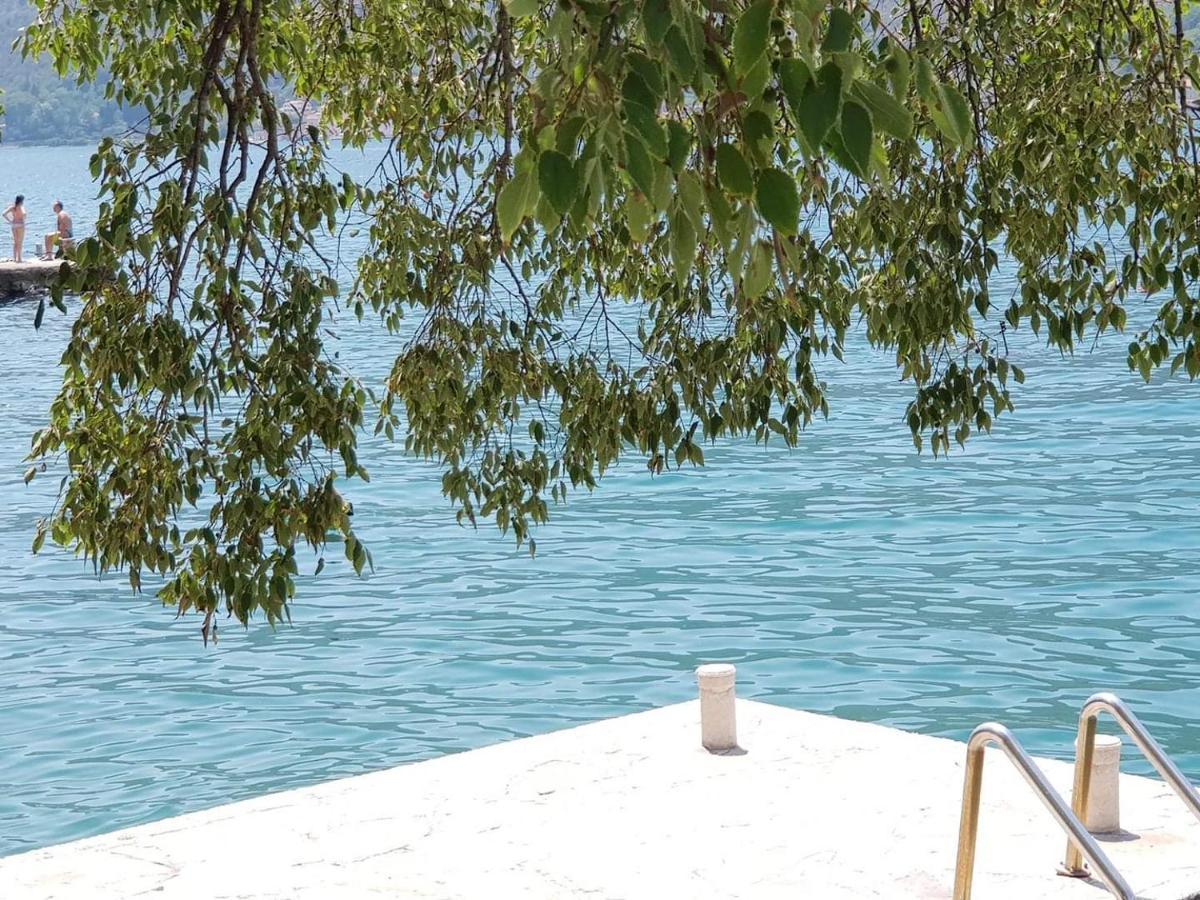 Montenegro Apartments - Private Beach Kotor Dış mekan fotoğraf