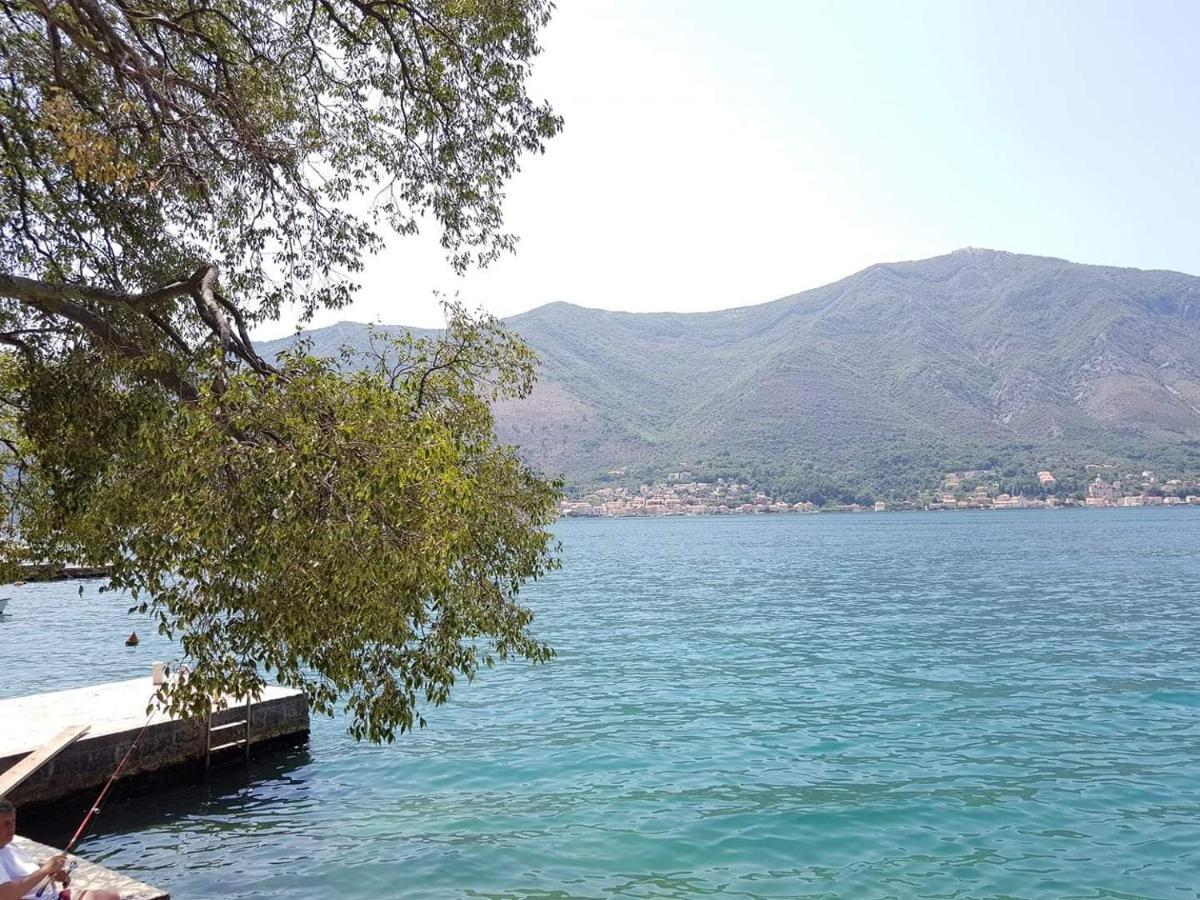 Montenegro Apartments - Private Beach Kotor Dış mekan fotoğraf